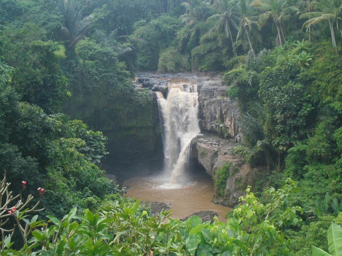 Waterfall Guest House Sukawati المظهر الخارجي الصورة
